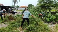 berita_satuan_20250103_010236