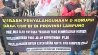 WhatsApp Image 2025-06-25 at 15.10.58