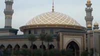 IMG_20260116_131358_232